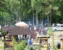 Panorama na piknik