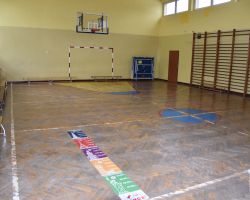 Mała sala gimnastyczna w budynku ZO Borowie przed modernizacją