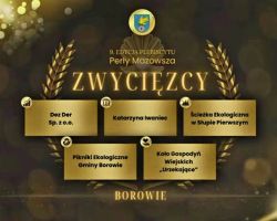 Podsumowanie plebiscytu na terenie Gminy Borowie