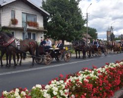 Konie z korowodu dożynkowego