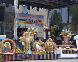 Wójt podczas przemówienia na scenie, poniżej wieńce dożynkowe