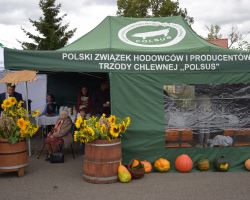 Stoisko Polskiego Związku Hodowców i Producentów Trzody Chlewnej "POLSUS"