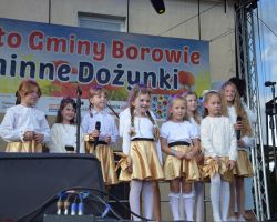Występ zespołu Złote Nutki