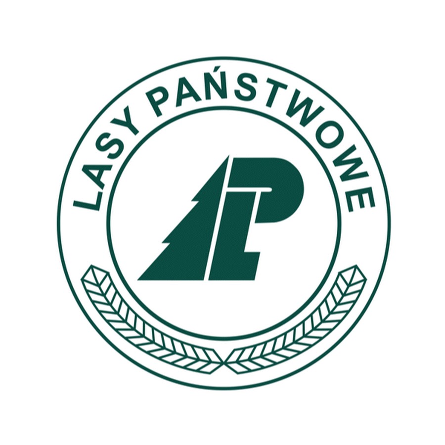 Logo - Lasy Państwowe